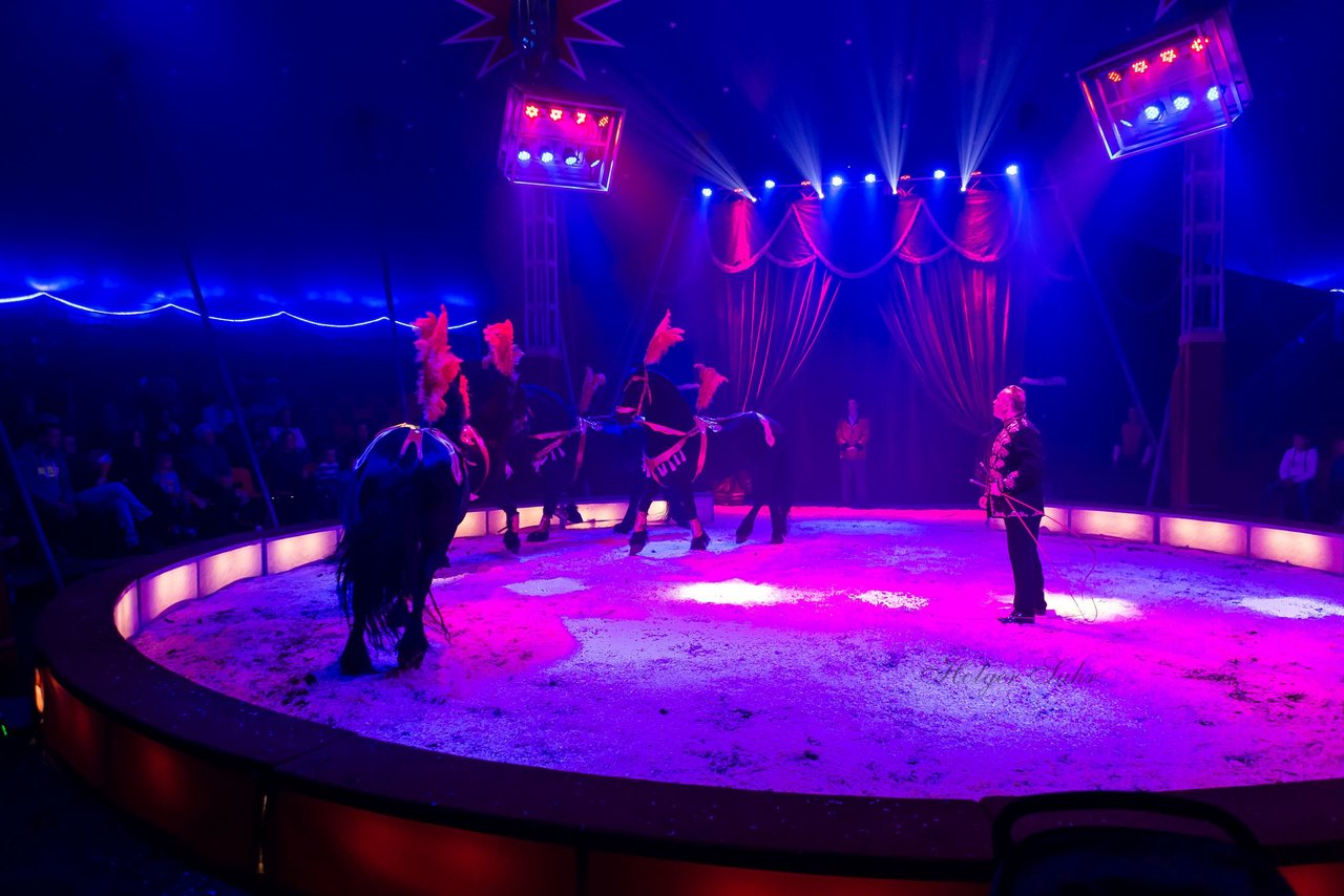 Bild 76 - Circus Europa